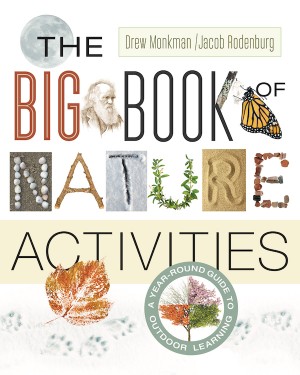 cover of The Big Book of Nature and Activities