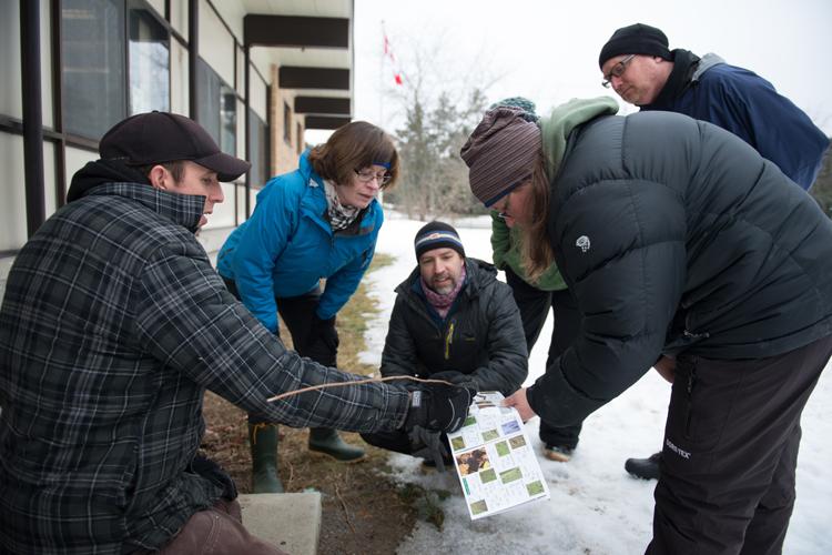 people standing in the snow examining animal tracks