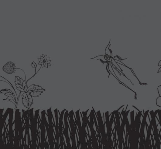 black and grey illustration of grasshopper and plants