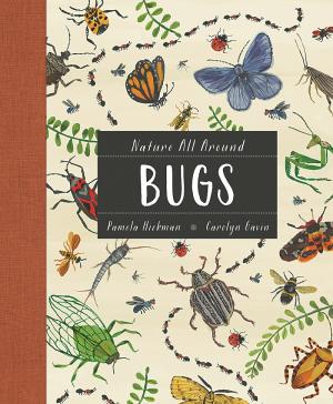 Cover of Nature All Around: Bugs