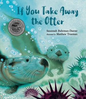 Book cover of If You Take Away the Otter