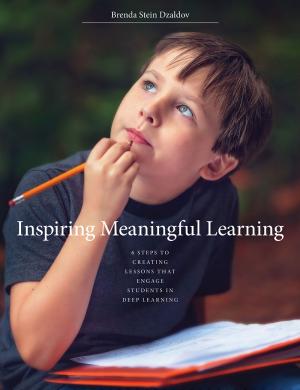 Cover of Inspiring Meaningful Learning
