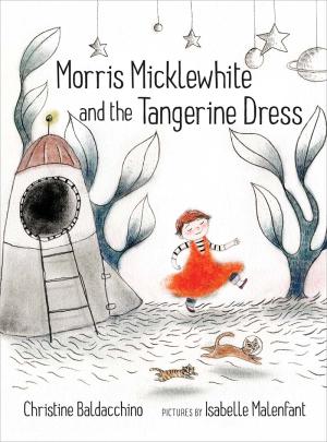 Cover of the book Morris Micklewhite and the Tangerine Dress