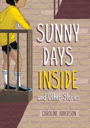 Sunny Days Inside book cover